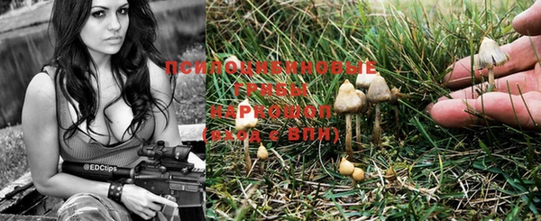 spice Иннополис