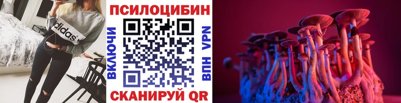 Купить где  Ессентуки  Галлюциногенные грибы Magic Shrooms 